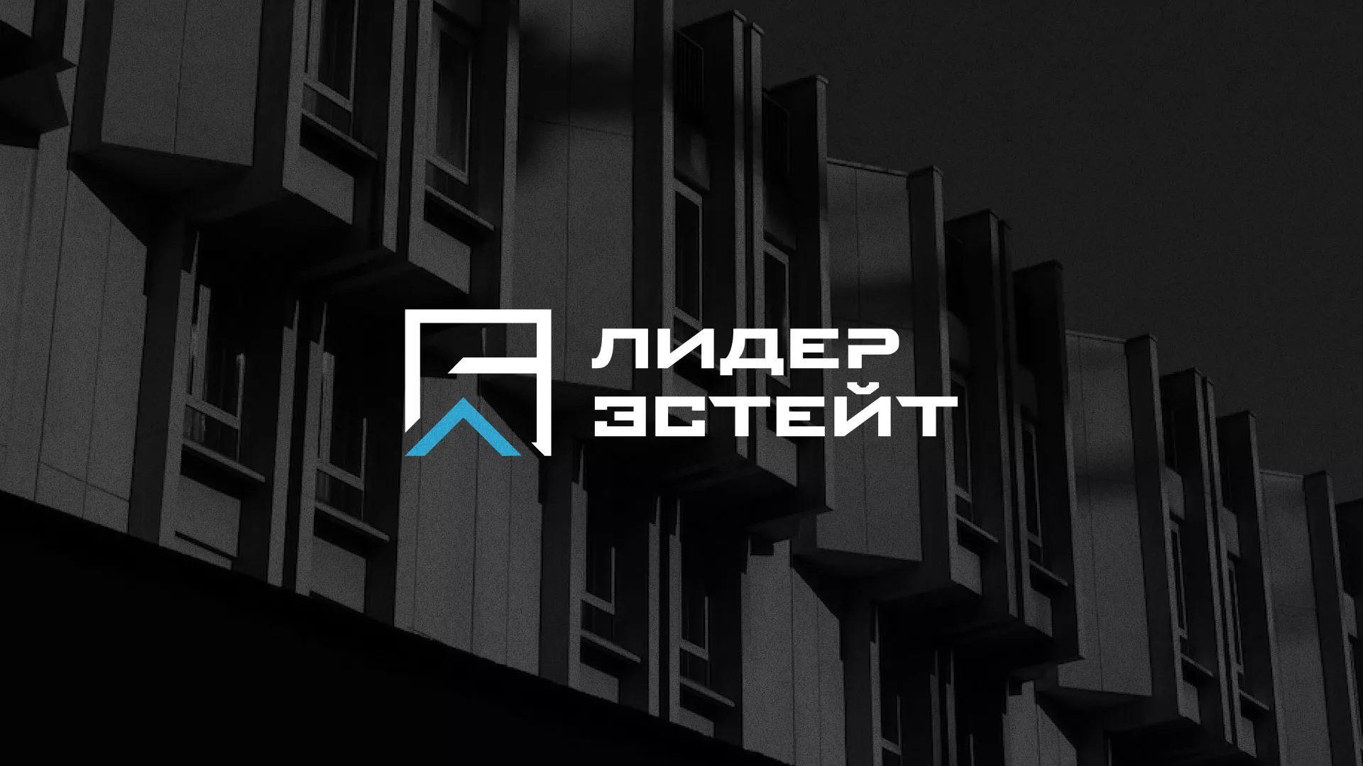 Разработка логотипа агентства недвижимости «Лидер Эстейт» в Невельске
